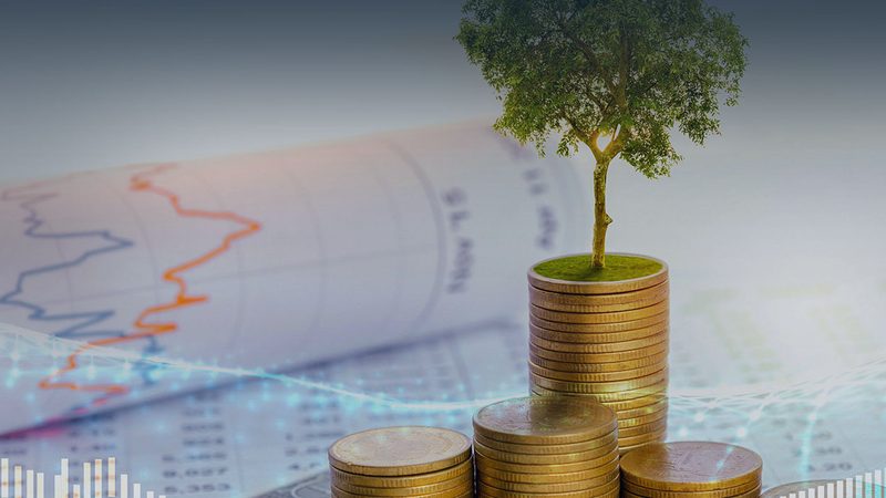 商业计划书：创业路上的指南针